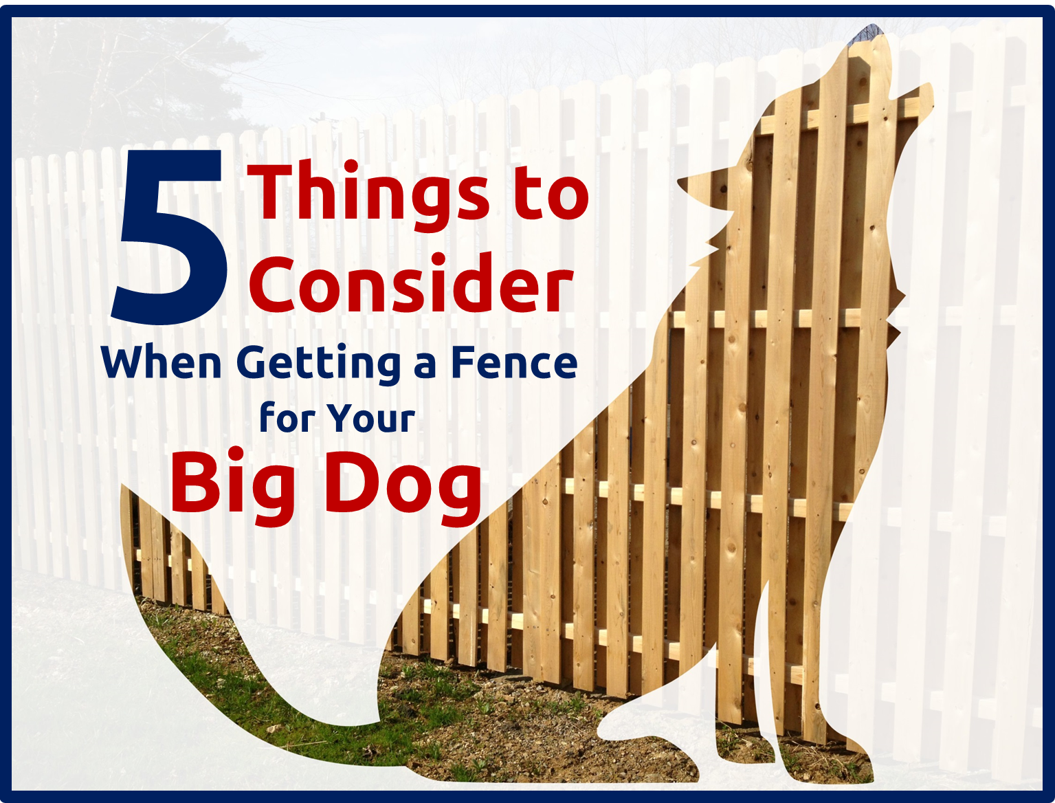 5 Things To Consider When Getting A Fence For Your Big Dog