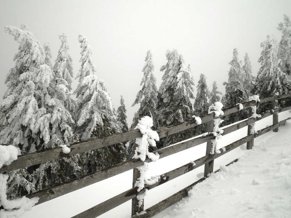 Snow enhances the beauty of your yard, but the moisture can damage your fence.