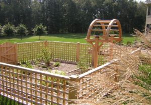 A garden in its early stages, protected by our 4' Cedar Lattice fence.