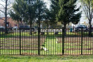 ActiveYards fence at Melton Center Community Garden