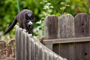 Neighbors encroaching on your property with their fence? Here's how to deal with it.
