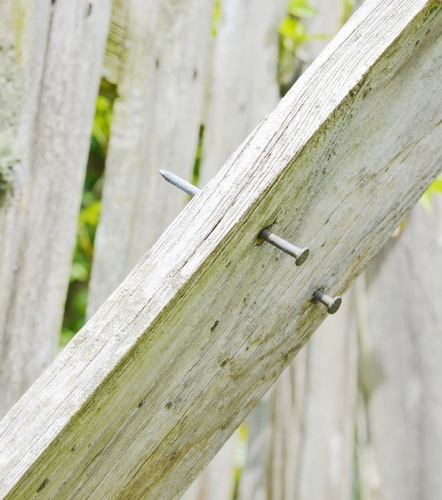 Building a fence