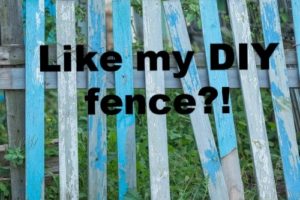 Like my DIY fence?