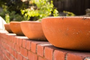 A brick wall and terra cotta planters create private space in a yard.