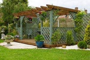 ARBOR
