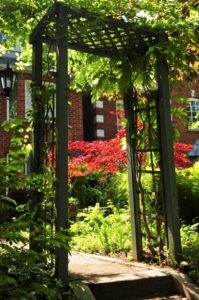 Another arbor
