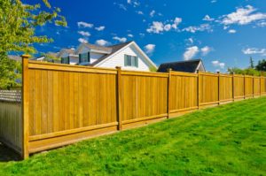 New Privacy Fence