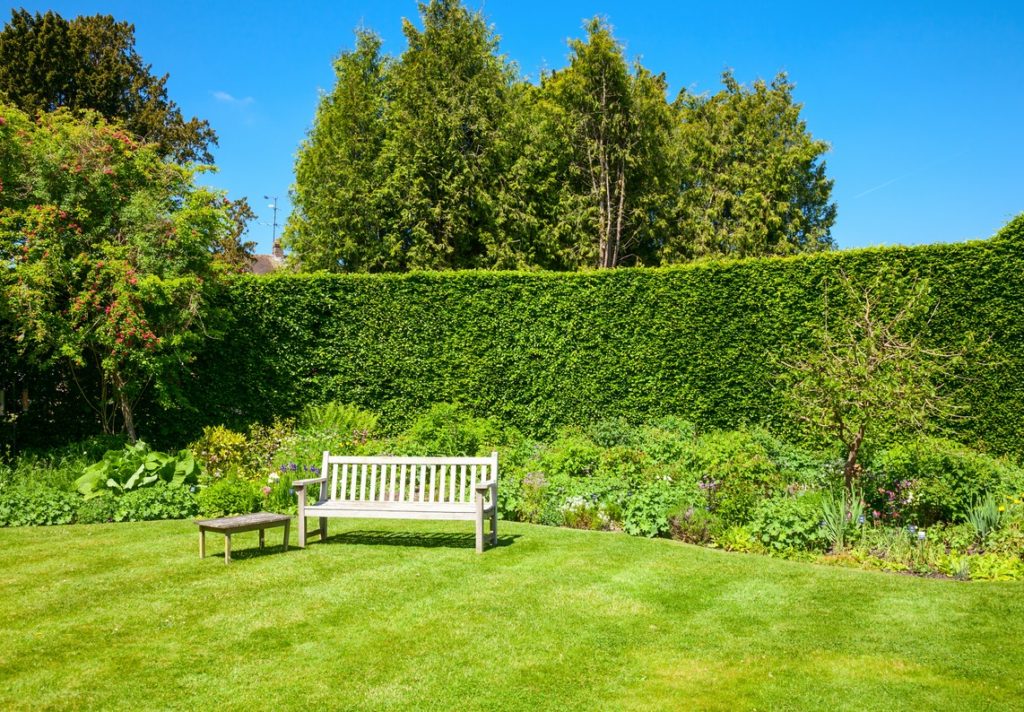 4 Ways To Make Your Backyard A Little More Private