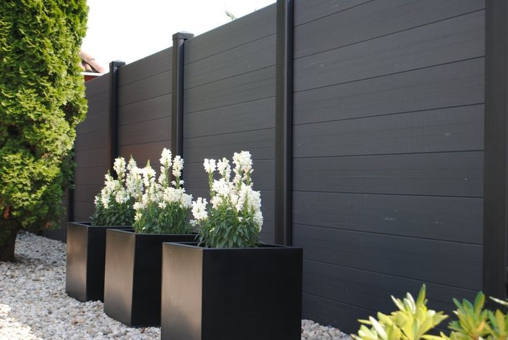 White flowers against a black panel fence