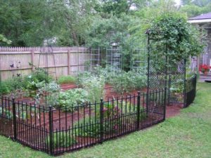 An edible garden protected by a fence (pinterest)