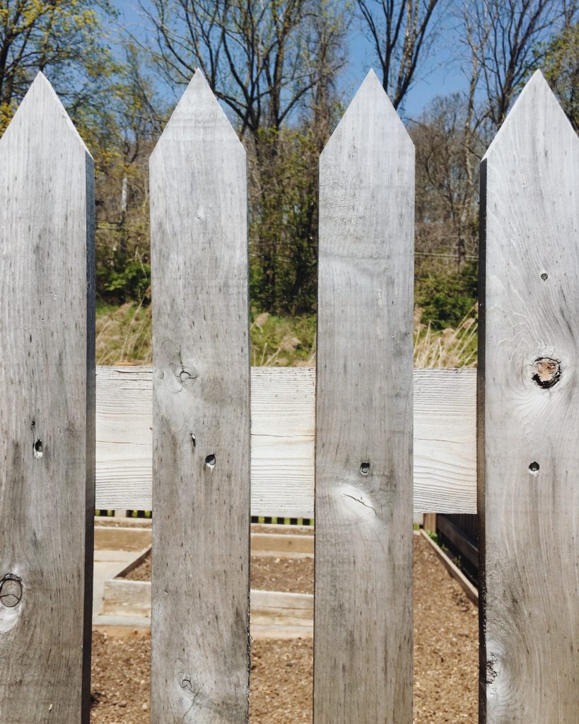 natural weathered white cedar fence