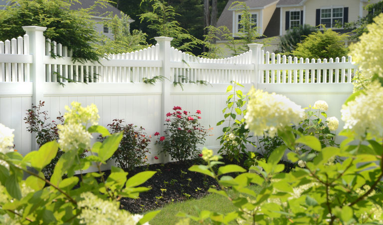 Haven Scalloped in White