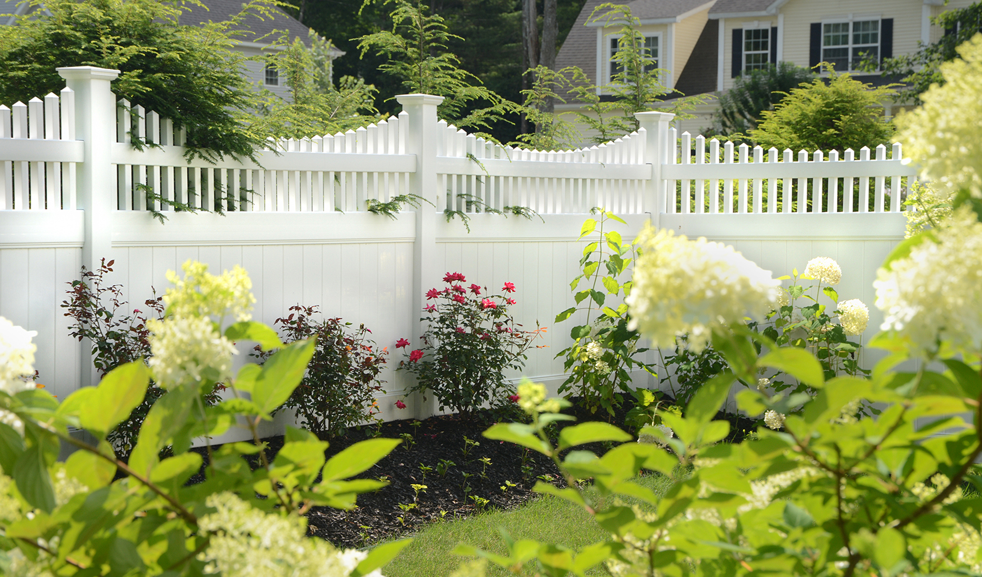 Haven Scalloped in White