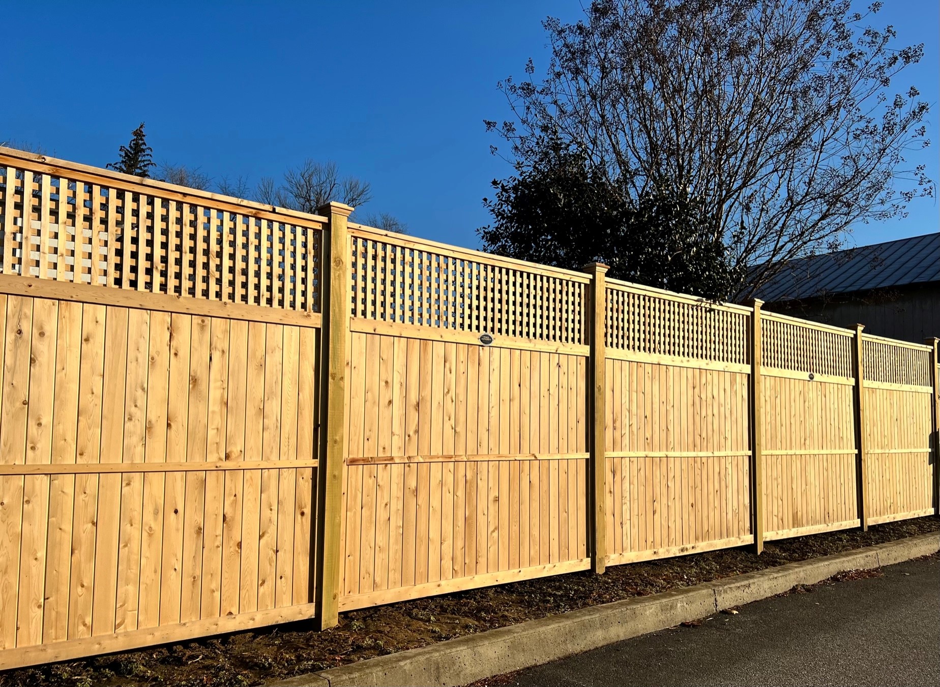 Tongue and Groove Lattice Topped Fence with Square Lattice