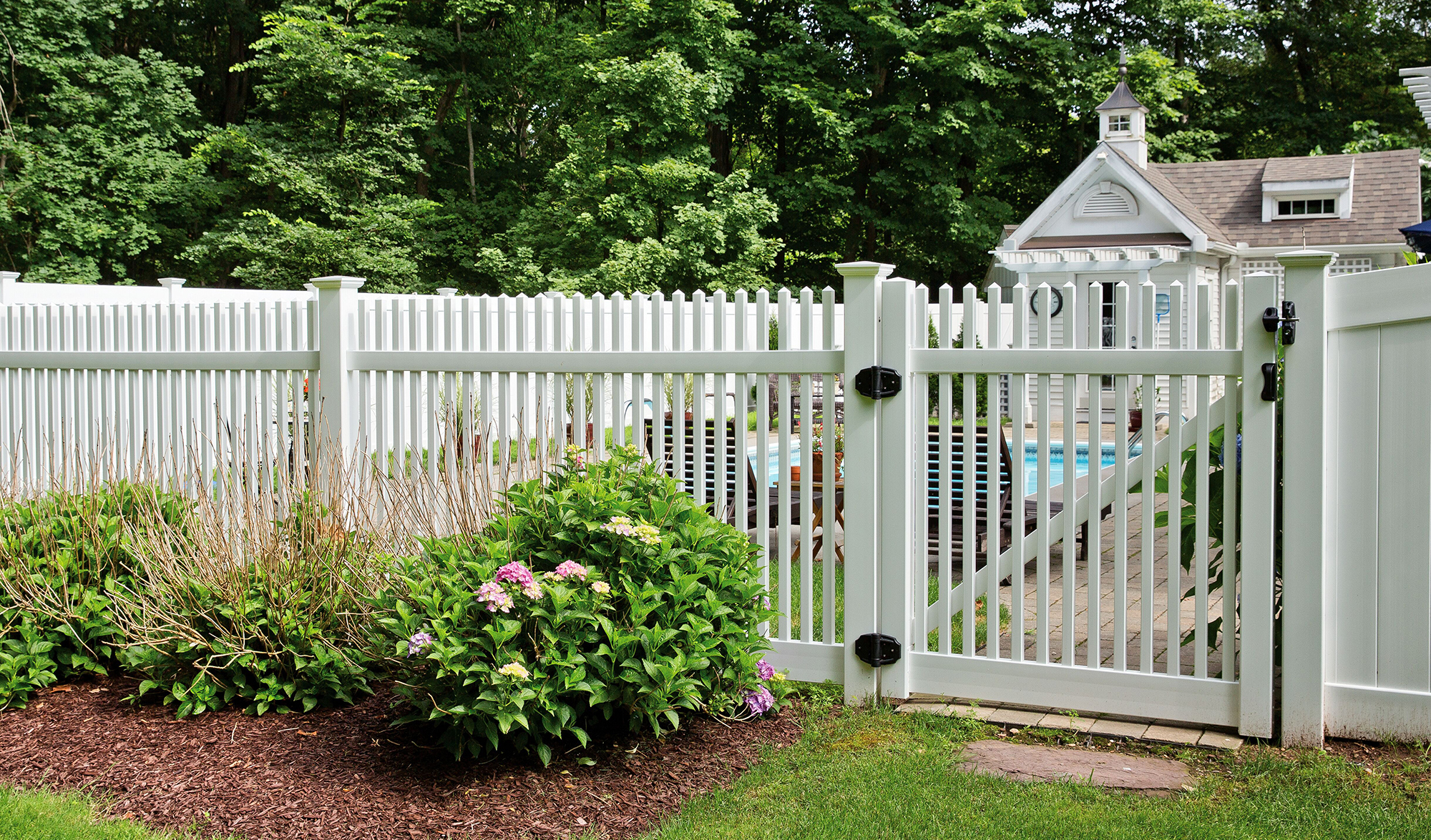 Chestnut in White with gate