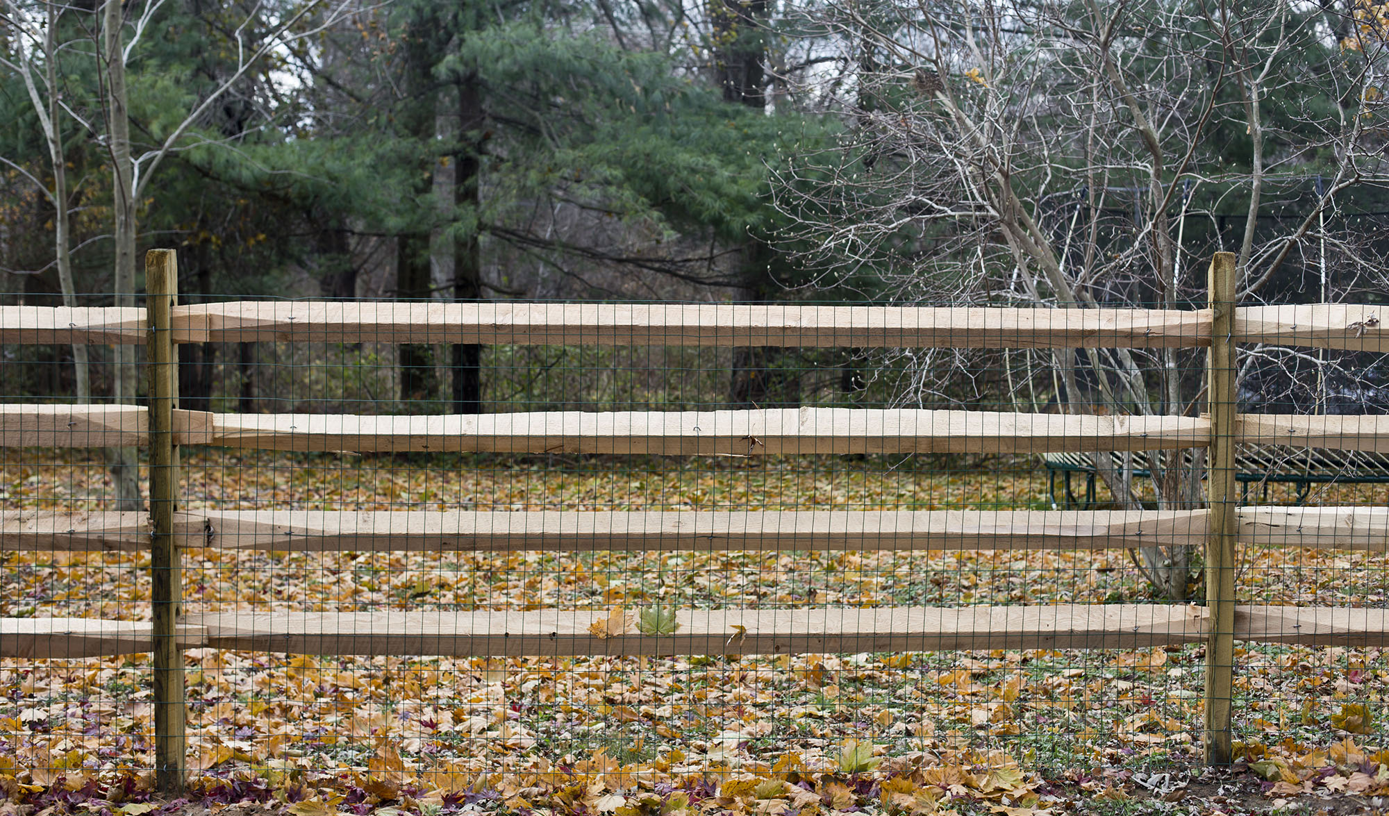 Split Rail 4r