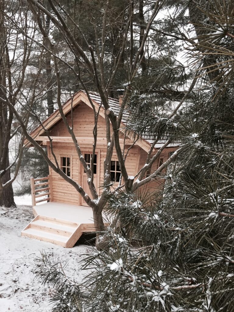 cedar cabin hidden in the trees with snow