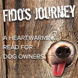 Fidos Journey CTA