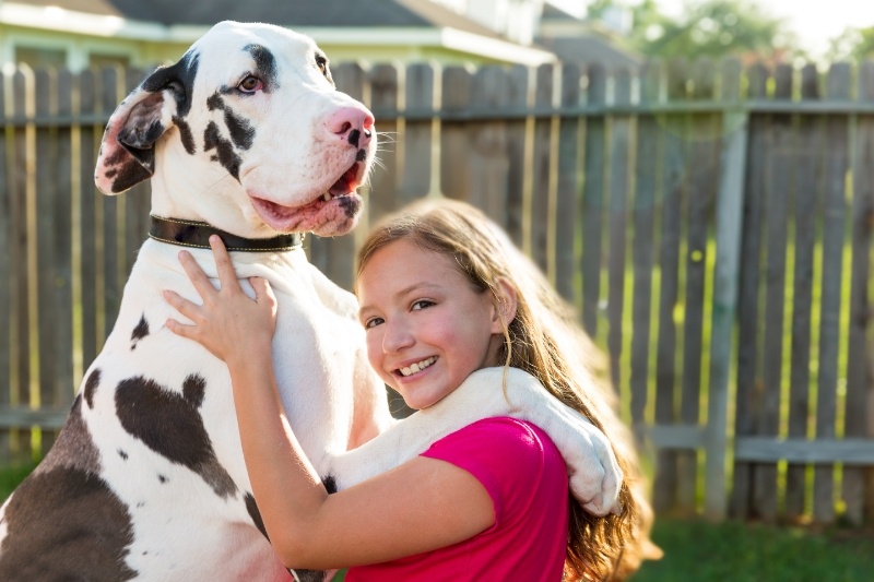 how do i keep my dog from climbing the fence